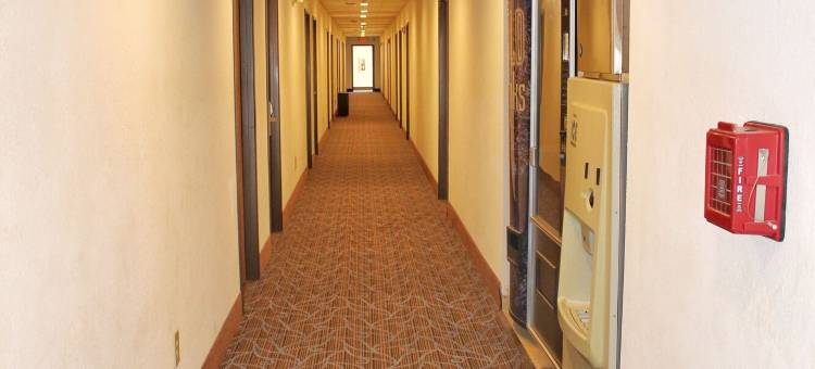 迪索托速8酒店(Super 8 by Wyndham de Soto)图片