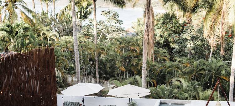 88 区饭店 - 限成人(Distrito 88 - Hotel Boutique Only Adults)图片