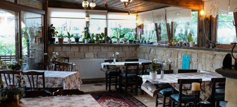 土耳其洞穴旅馆(Turkish Cave House)图片