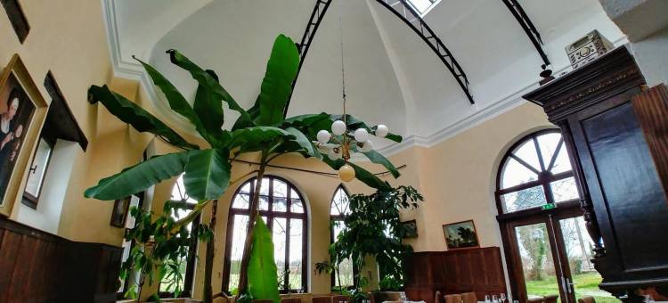 多玛呢德法雷勒斯酒店(Domaine de Vareilles)图片