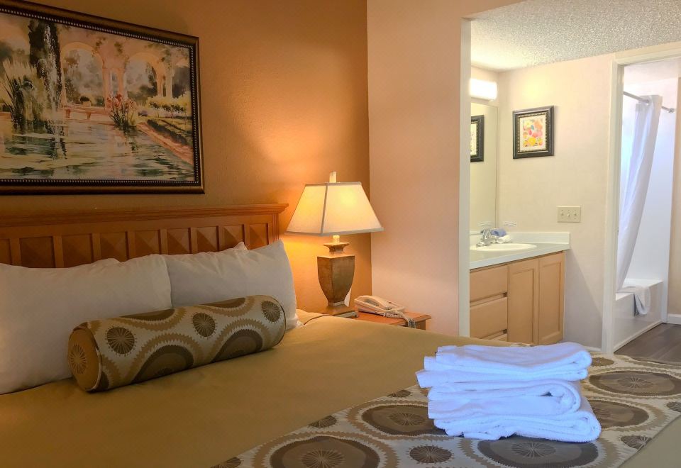 The Oasis Resort Hotel Overview