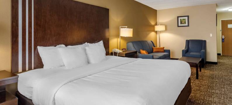 帕迪尤卡I-24舒适酒店(Comfort Inn Paducah I-24)图片