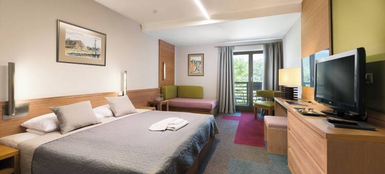 维斯格拉德酒店(Hotel Visegrád)图片