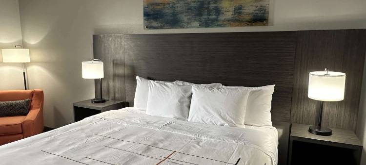 温德姆南荷兰拉昆塔温德姆套房酒店(La Quinta Inn & Suites by Wyndham South Holland)图片