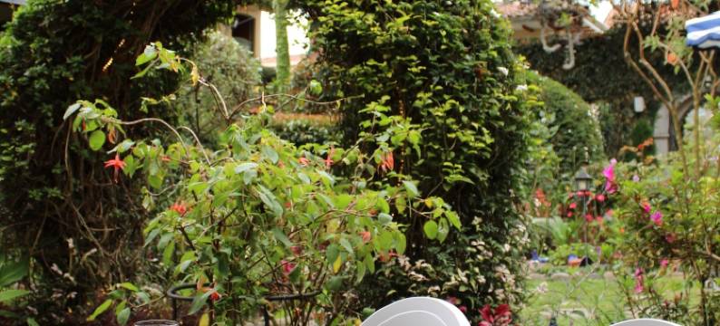 阿尔卡萨大厦酒店(Mansion Alcazar)图片