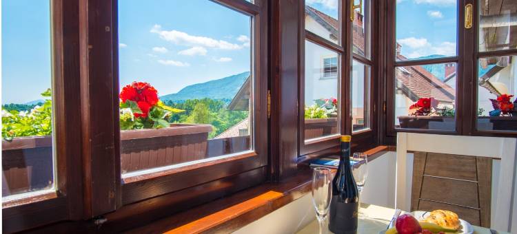 Vila Radolca公寓和房间(Vila Radolca Apartments & Rooms)图片