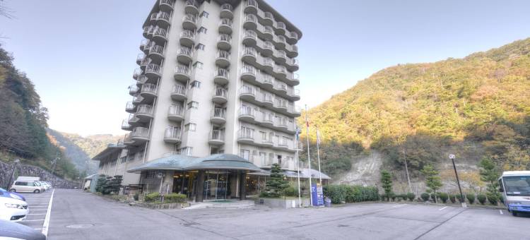 新桦川观光酒店(Shin Kabakawa Kanko Hotel)图片