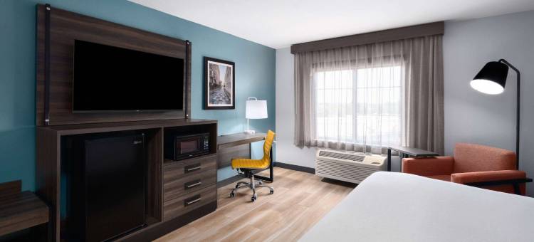 格林斯伯勒拉昆塔温德姆套房酒店(La Quinta Inn & Suites by Wyndham Greensboro NC)图片