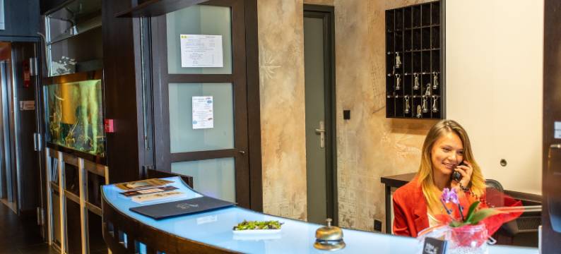 洛吉斯法国酒店 - 面朝大海(Logis Hôtel de France - Face à la Mer)图片