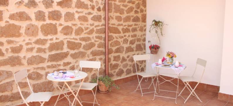 老鹰和橄榄树民宿(B&B Il Falco e l'Ulivo)图片