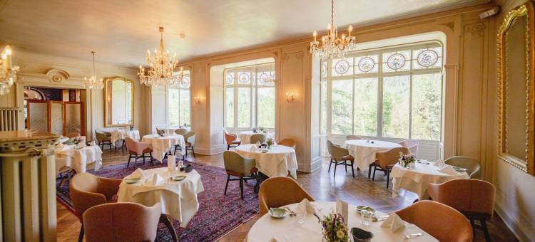 蓬特雷西纳萨拉兹酒店(Hotel Saratz Pontresina)图片
