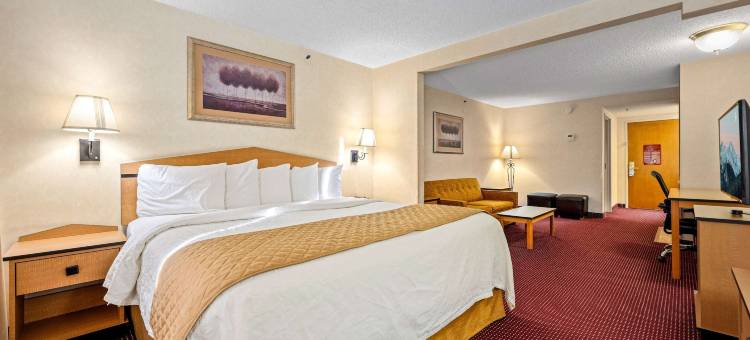 丹佛国际机场美吟套房酒店(AmericInn by Wyndham Denver Airport)图片