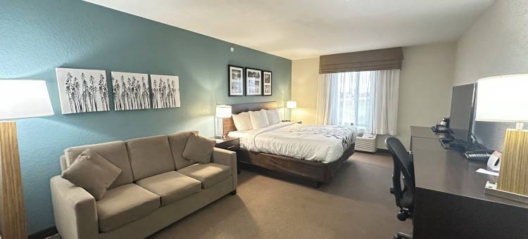 道奇堡舒眠套房酒店(Sleep Inn & Suites Fort Dodge)图片