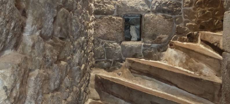 布匈康帕涅酒店(Le Bouchon de Campagne)图片