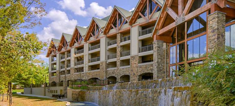 希尔顿格兰德度假俱乐部天堂角霍利斯特(Hilton Grand Vacation Club Paradise Point Hollister)图片