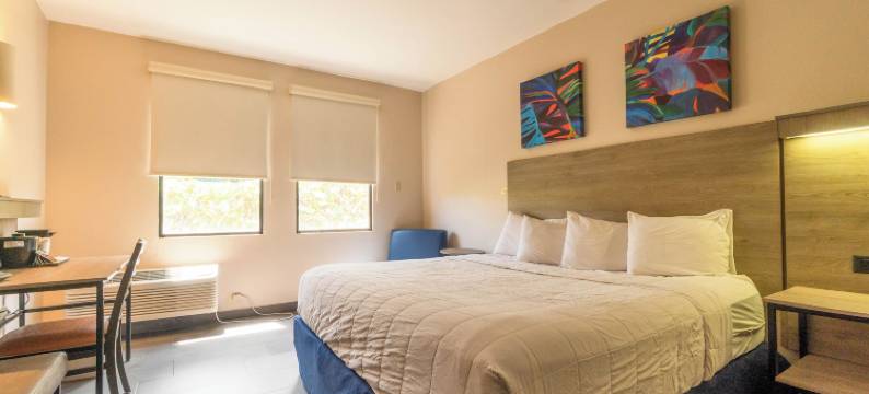 埃尔法罗酒店(Parador El Faro)图片