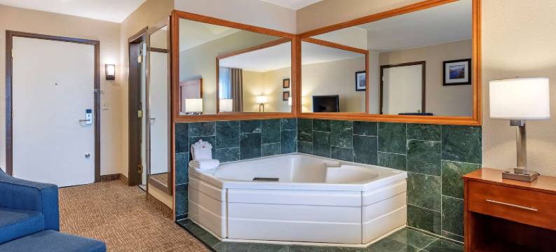 舒适套房酒店(Comfort Inn & Suites)图片