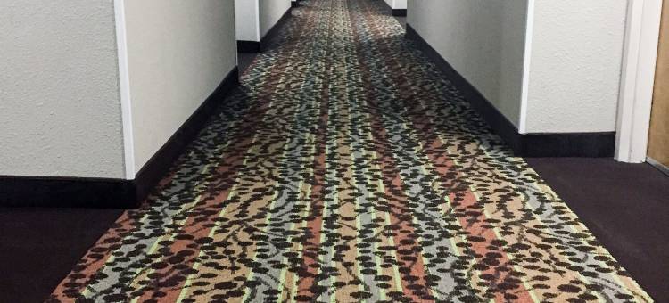 查塔努加舒眠酒店(Sleep Inn)图片