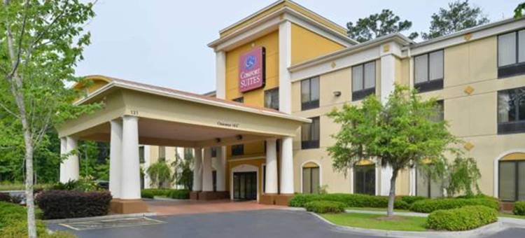 博福特-近帕里斯岛舒适套房酒店(Comfort Suites Near Mcas Beaufort)图片