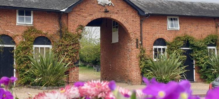 斯科尔酒店(Scole Inn Hotel)图片