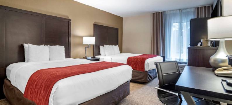 舒适酒店(Comfort Inn)图片