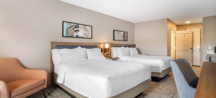 夏洛特康科德希尔顿花园酒店(Hilton Garden Inn Charlotte/Concord)图片