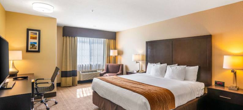 舒适套房酒店(Comfort Inn & Suites)图片