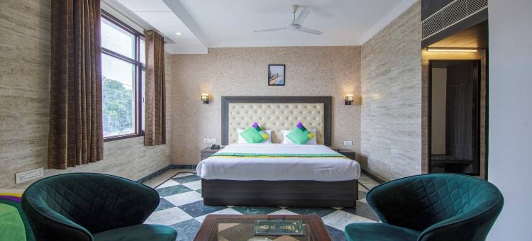 Treebo 特里内塔国际酒店(Treebo Trinetar International)图片