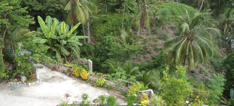 高台阶别墅(High Steps Pension)图片