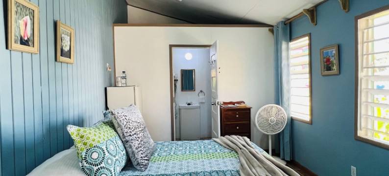 戴尔里奥酒店(Hotel Del Rio)图片