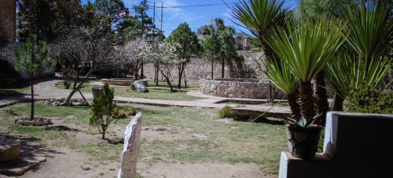 迪维萨德罗巴兰卡斯酒店(Hotel Divisadero Barrancas)图片