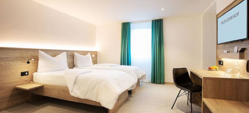 瓦度泽霍夫酒店(Hotel Vaduzerhof by b-Smart)图片