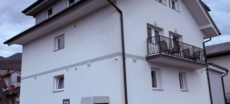 采尔克利耶·机场五分钟PJ酒店(PJagodic Hotel Cerklje)图片