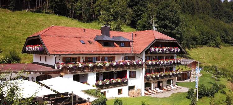 布劳恩加姆斯酒店(Hotel Blaue Gams)图片