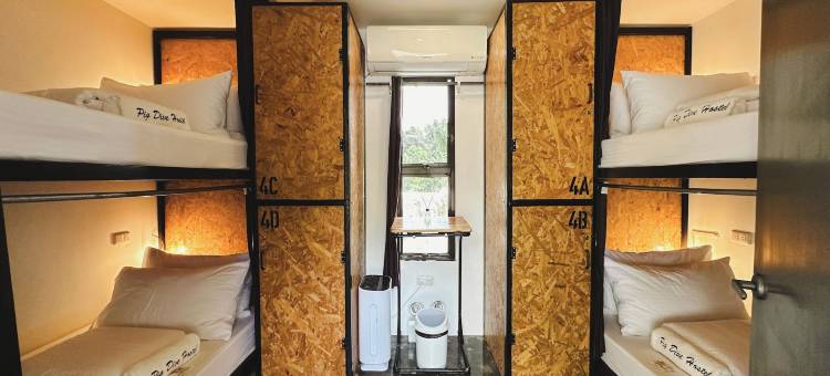 莫阿尔博阿皮格潜水青年旅馆(Pig Dive Hostel Moalboal)图片