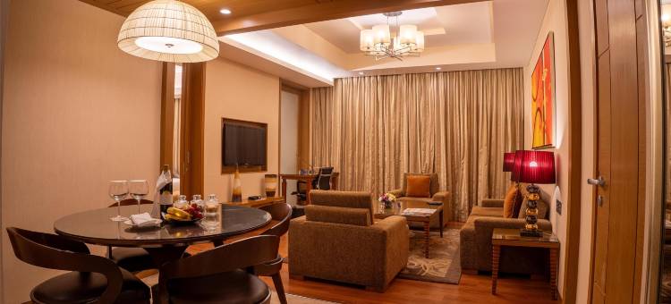 那格浦尔丽笙酒店(Radisson Blu Hotel, Nagpur)图片