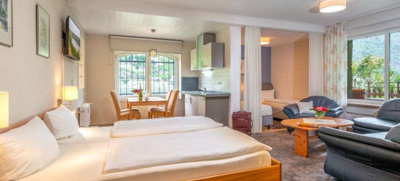 朗斯克纳葡萄酒酒店(Weinhotel Landsknecht)图片