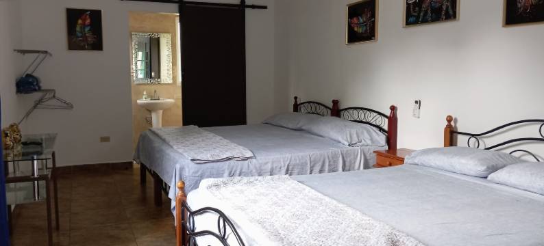 小意大利民宿(Bed and Breakfast Little Italy)图片