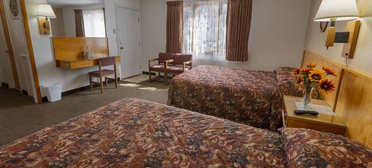 星光汽车旅馆(Starlight Lodge)图片