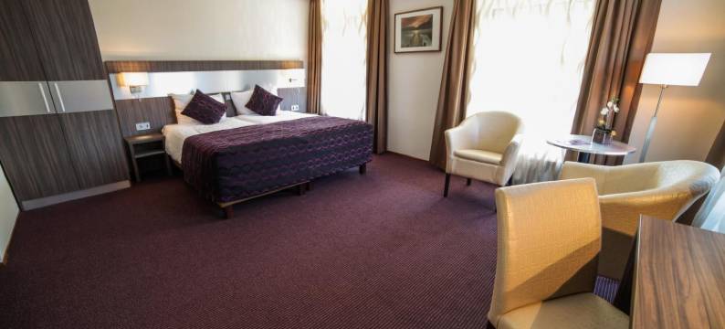 法贝尔酒店(Hotel Faber)图片