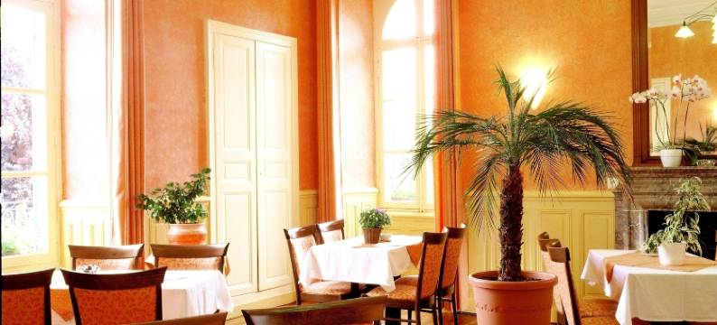 洛基撕公园Spa酒店(Logis le Parc Hotel & Spa)图片