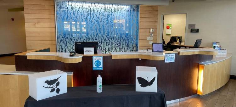 舒适酒店及套房(Comfort Inn & Suites)图片