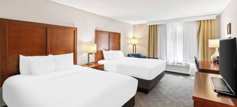 西部舒适酒店(Comfort Inn West)图片