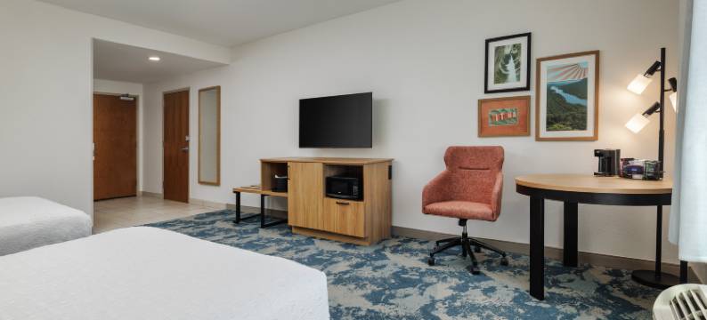 查塔努加西/望山欢朋酒店(Hampton Inn Chattanooga-Lookout Mountain)图片