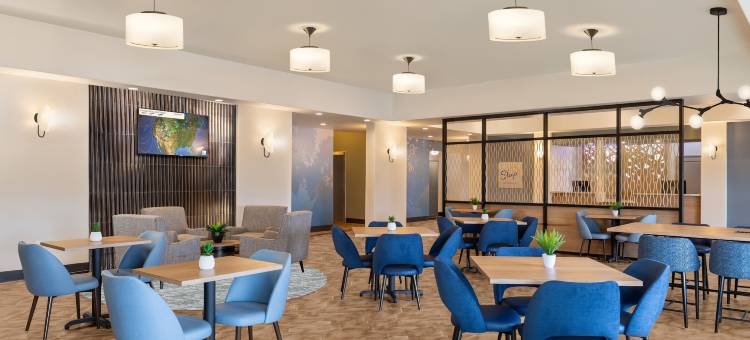 舒眠酒店及套房-圆石城-奥斯汀北部(Sleep Inn & Suites Round Rock - Austin North)图片