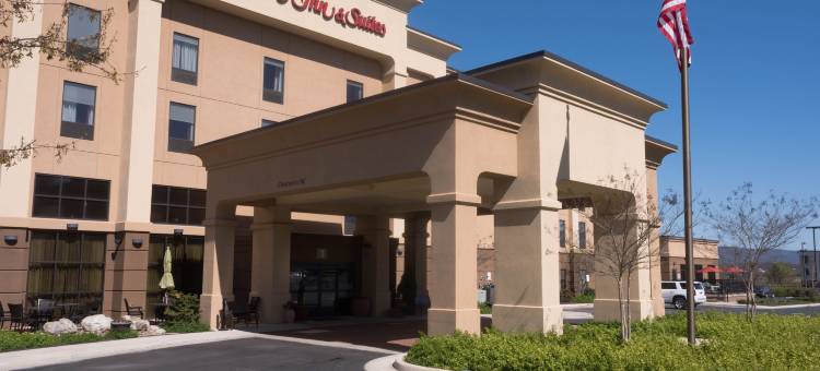 伍德斯托克欢朋套房酒店(Hampton Inn & Suites Woodstock)图片