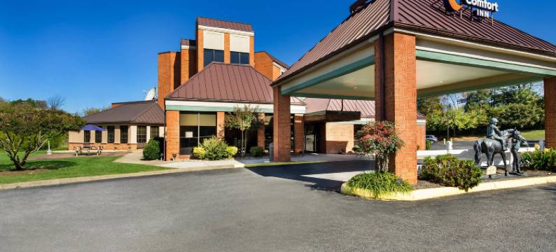 弗吉尼亚州霍斯中心因舒适酒店(Comfort Inn Virginia Horse Center)图片
