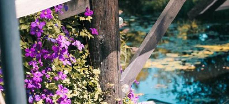 桑给巴尔露营旅馆(Camping Zanzibāra)图片