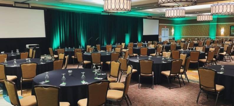 Holiday Inn 圣安东尼奥，RIVERWALK(Holiday Inn SAN ANTONIO-RIVERWALK by IHG)图片