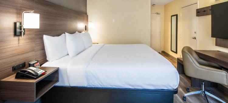 速 8 酒店(品质酒店查塔姆群岛, ON)(Quality Inn)图片
